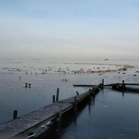 Dornbusch 1 Apartamento